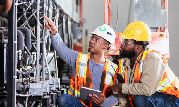 Best Electric Panel Repair  in Lemont, IL