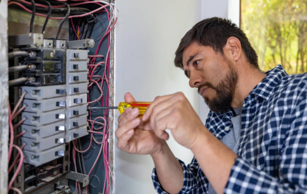 Best Electrician for Home Renovation  in Lemont, IL